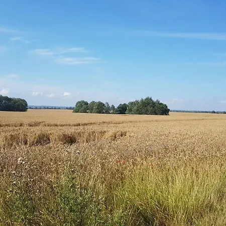 Ferienwohnung Blütenzauber – Bis 4 Personen Puddemin
